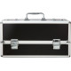 Великий кейс для зберігання секс-іграшок BMS Factory Large Lokable Vibrator Case Black, кодовий замо