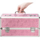 Великий кейс для зберігання секс-іграшок BMS Factory Large Lokable Vibrator Case Pink, кодовий замок