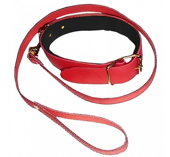 Нашийник з повідцем DS Fetish Collar with leash red