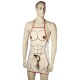 Кухонний фартух з плюшевим пенісом OOTB Sexy Apron Male Body With Plush Penis
