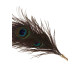 Перо павлина Taboom Peacock Tickler