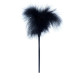 Тіклер Fetish B - Series Feather Tickler Black