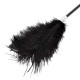 Стек-тіклер Fetish B - Series Tickler & Whip 1.0