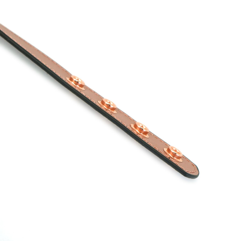 Ошейник с зажимами для сосков Liebe Seele Rose Gold Memory Collar with Nipple Clamps, кожа