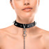 Нашийник з шипами та повідцем Art of Sex Collar Spikes and Leash