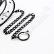 Ошейник с поводком DS Fetish Collar with leash transparent