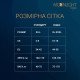 Сітчаста сукня Moonlight Model 17 Black XS-L