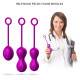 Набір вагінальних кульок B - Series Fox Kegel Balls Set