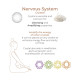 Вагинальные шарики Adrien Lastic Harmony Stones, полудрагоценные камни, диаметр 3 см, 2 держателя