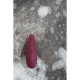 Вакуумний стимулятор клітора Womanizer Classic 2 Bordeaux