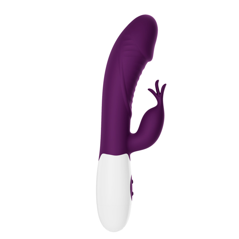 Вібратор Pretty Love Rasmussen Dual Vibrator Purple