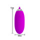 Виброяйцо Pretty Love Joannna Vibrating Egg Purple