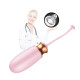 Віброяйце B - Series Fox Vibrating Silicone Love Egg, USB, 10 Function, Heating, Voice Control Pink