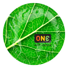 ONE Color Sensations - ONE with nature (Emerald) 1 шт